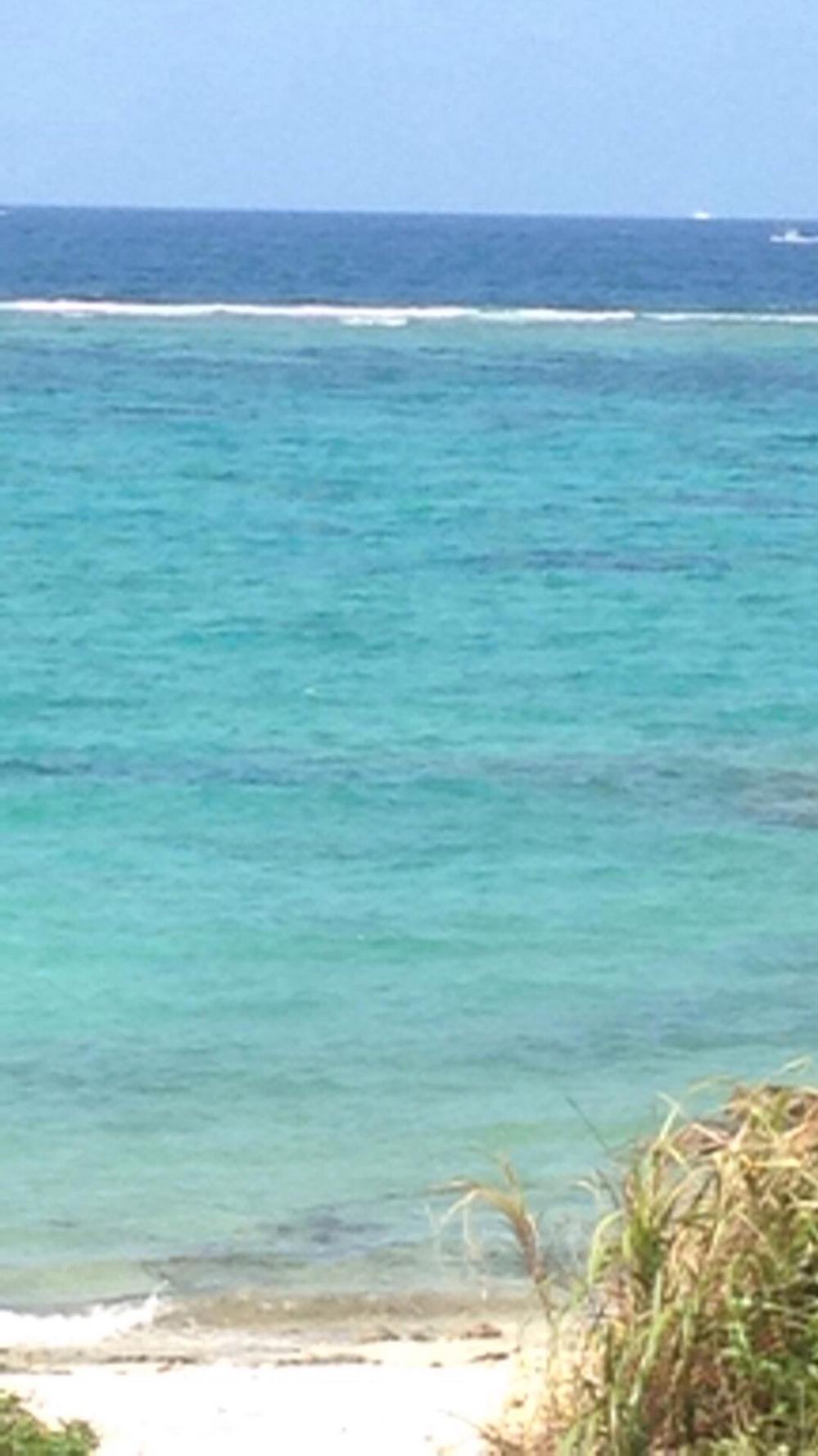 38758780_658544304517926_5632309052710060032_n