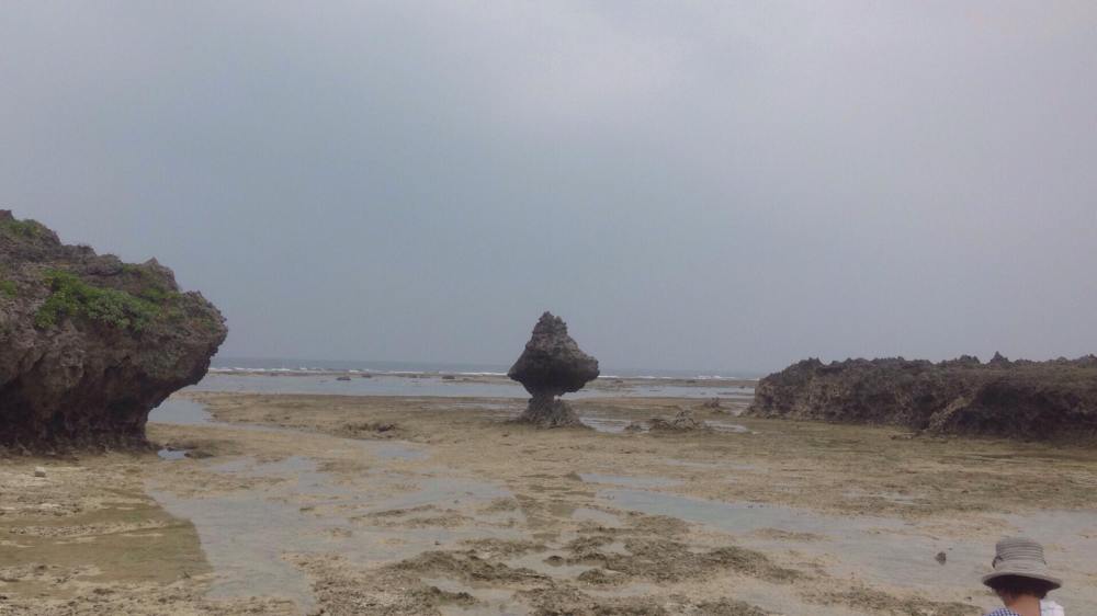 38860176_459279597890848_618678996627881984_n